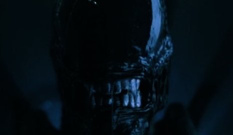 ᅠ ‎ ᅠ ‎ᅠ ‎ 𝐗 𝐄 𝐍 𝐎 𝐌 𝐎 𝐑 𝐏 𝐇 ‎ᅠᅠ ‎ ᅠ ‎ᅠ tweet media