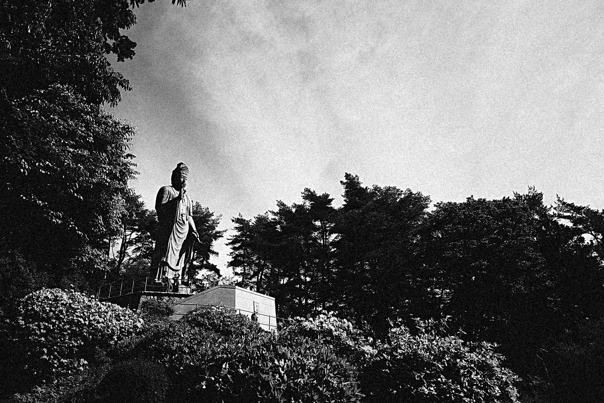 tddch7's tweet image. #RICOHGR4Monochrome 
#monochrome
#blackandwhite