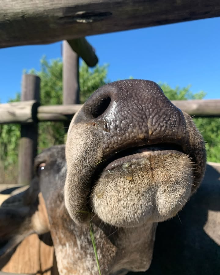 Abdikadir tweet media