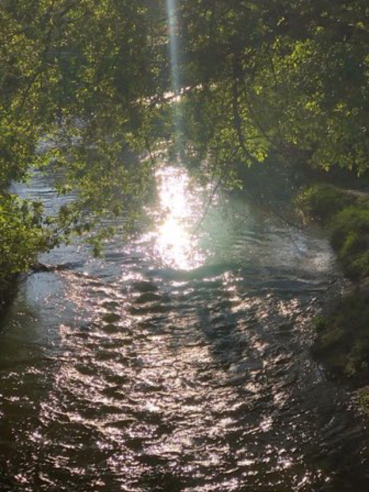 everarrows's tweet photo. it wasn’t miserable in twelve today, so i took myself to the lake for a while. i think i could have stayed there all day before peeta came to find me. it felt almost…..normal. normality feels almost ancient nowadays, i missed the feeling more than i could put into words. https://t.co/vZfv7BkPzH