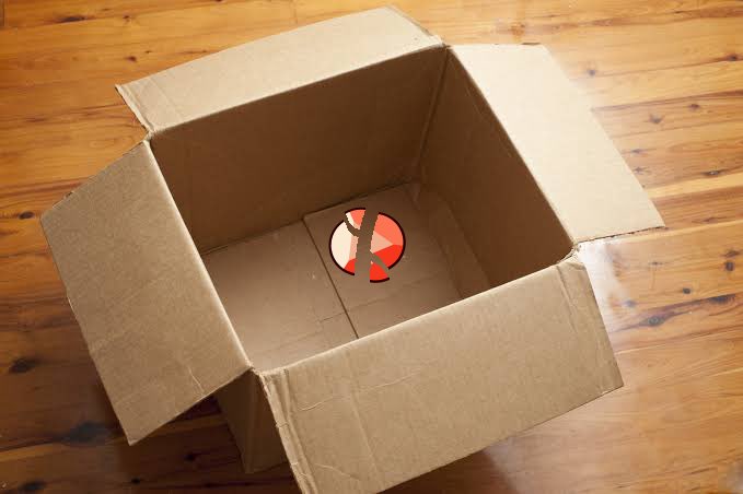 padparadscha 🧡🍊🎃🍑 tweet media