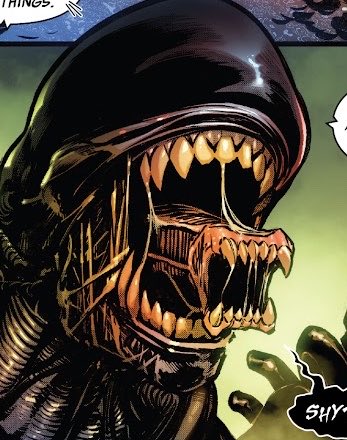 ᅠ ‎ ᅠ ‎ᅠ ‎ 𝐗 𝐄 𝐍 𝐎 𝐌 𝐎 𝐑 𝐏 𝐇 ‎ᅠᅠ ‎ ᅠ ‎ᅠ tweet media