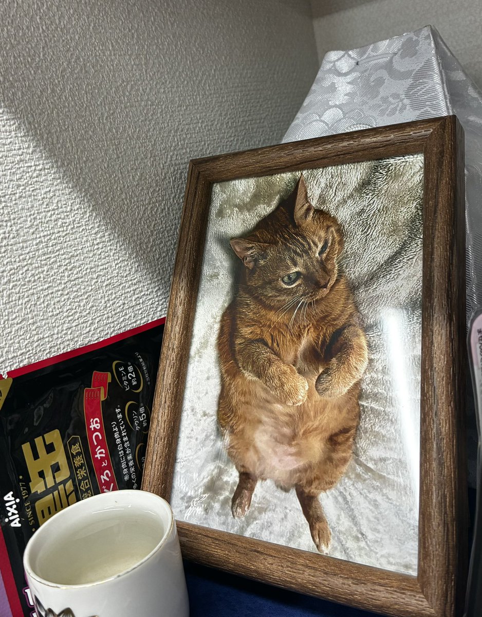 ぼんまる tweet media