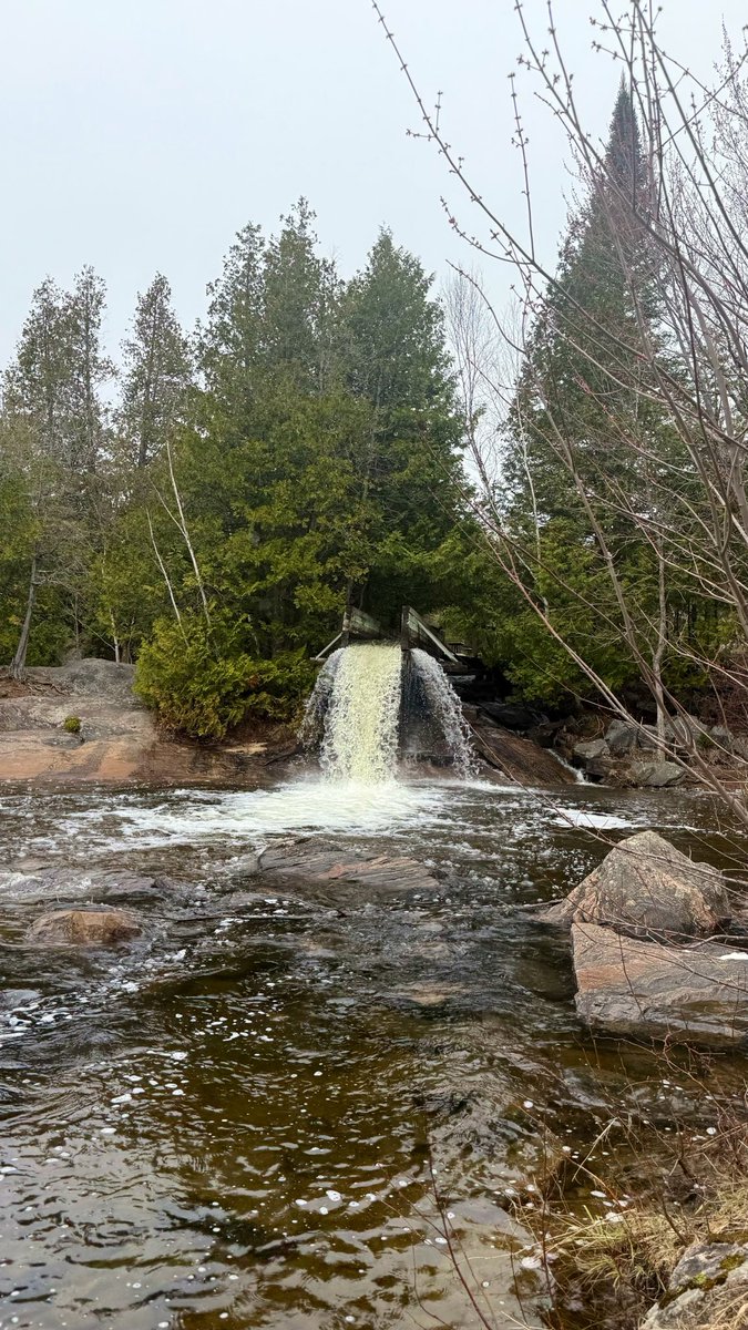 smileitsfree44's tweet image. I love this province 💛
Beautiful scenery everywhere. 

#Ontario🇨🇦