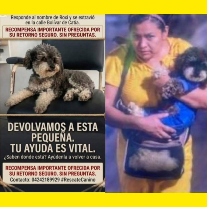 Antonio Freitas tweet media
