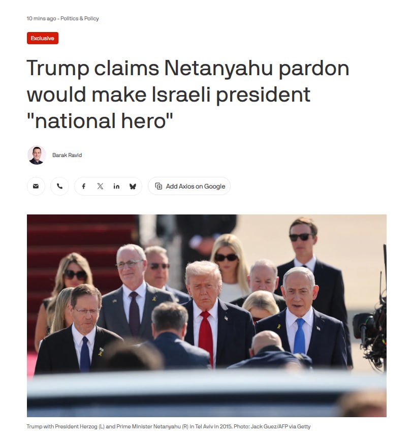 royalchib tweet media