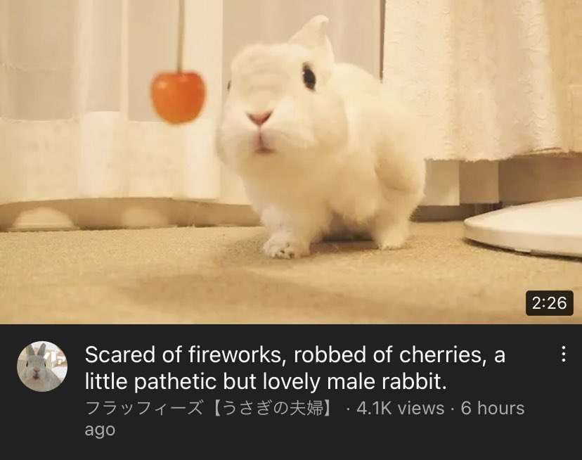 /tttt/ pics tweet media