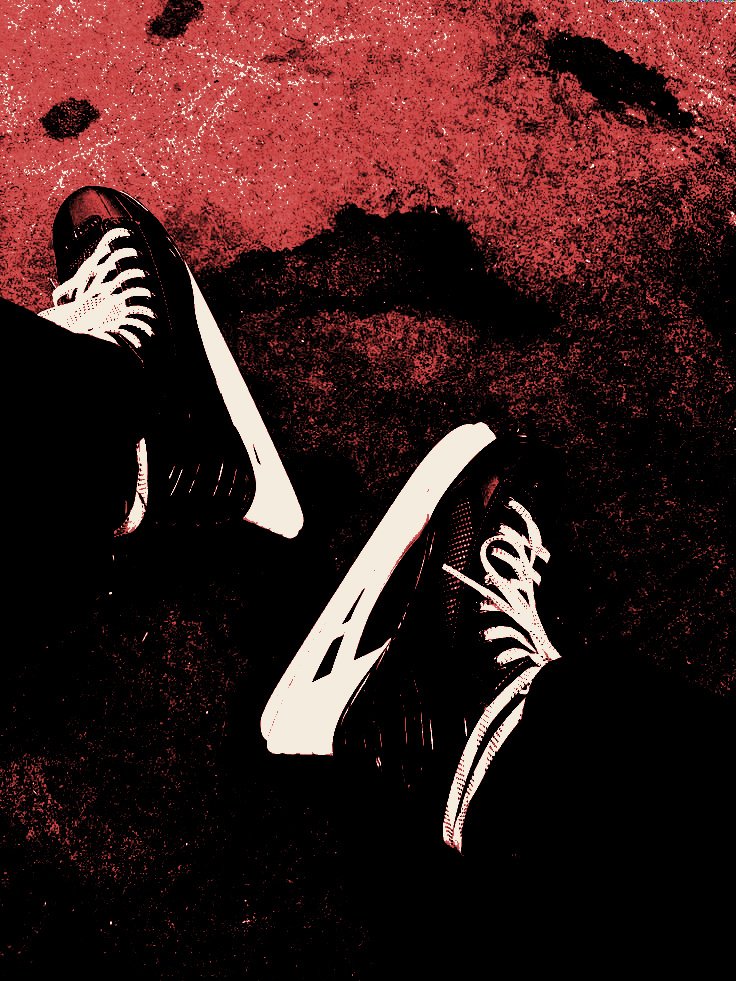 𝐇𝐎𝐋𝐋𝐀𝐍𝐃𝐄𝐑. tweet media