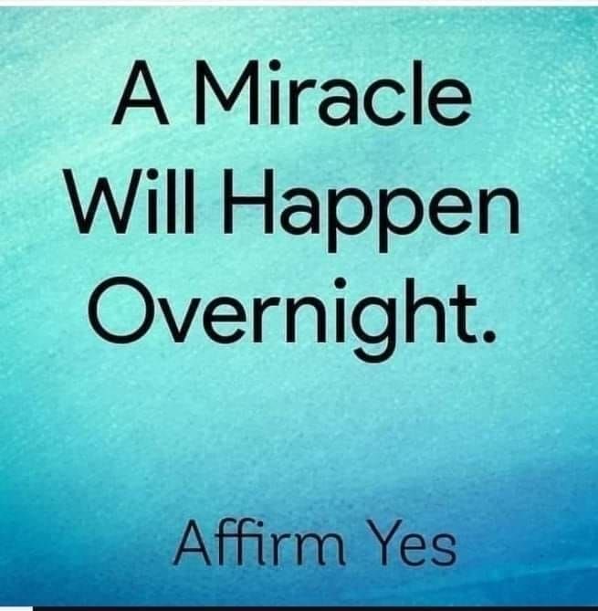 Blossoms🌻 tweet media