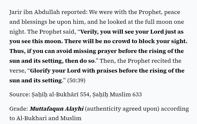 Ayman | أيمن tweet media