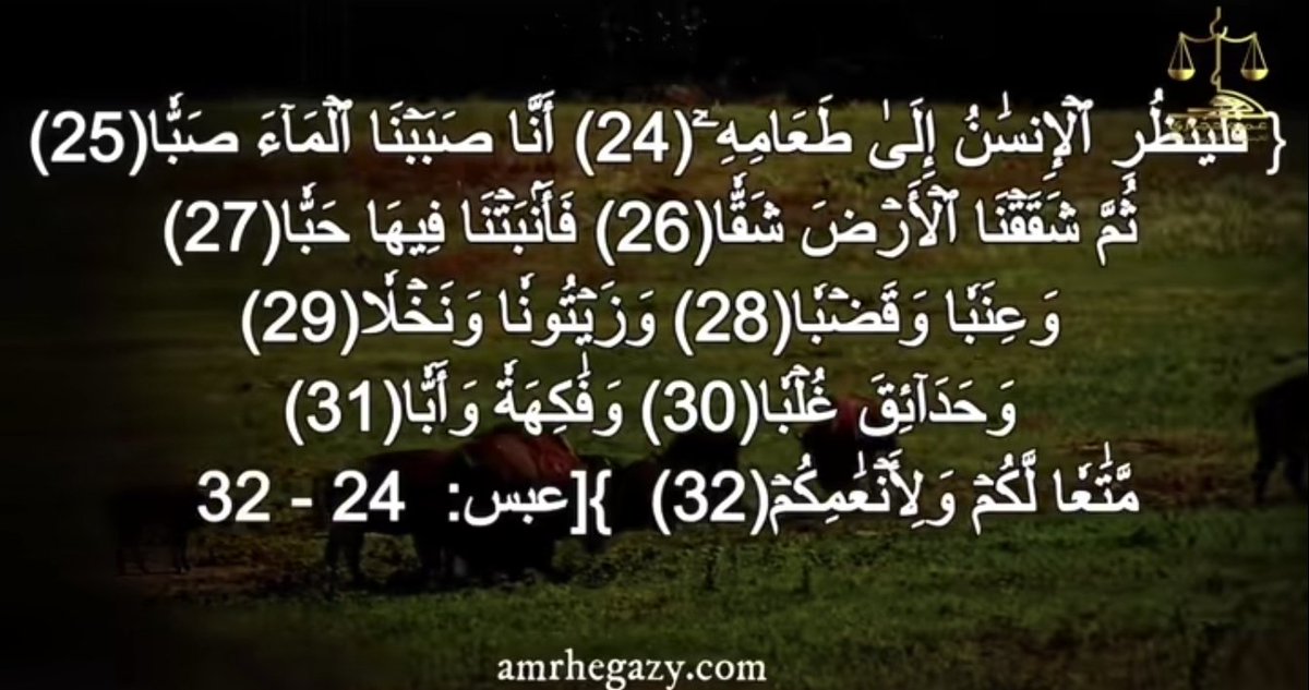 MoHmmad tweet media