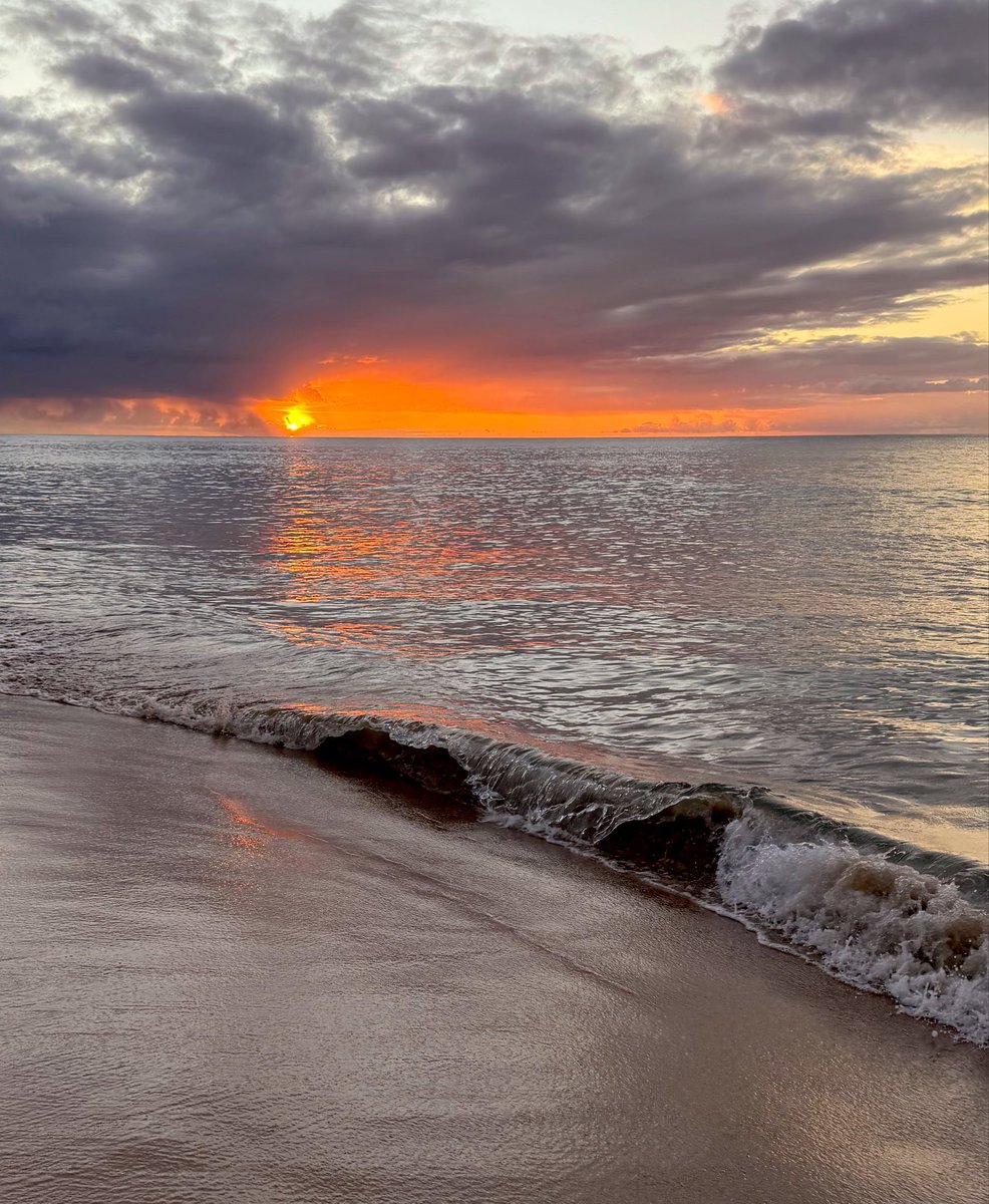 a forever princess tweet media