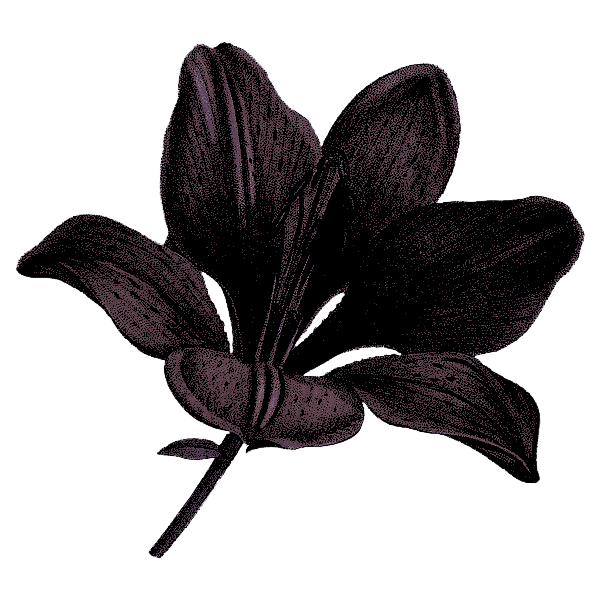 echoestouch's tweet photo. ᅠᅠᅠᅠ
𝓶y  whole  𝓑𝑬𝑰𝑵𝑮  calls  for
an  𝒂𝒄𝒕  of  𝖛io͟l͟e͟n͟ce,  but  i
𝓈till  use  𝓥ELVET  𝑮𝗟𝗢𝗩𝗘𝗦 .ᐟ
ᅠᅠᅠᅠ https://t.co/ESHc7NZI2T