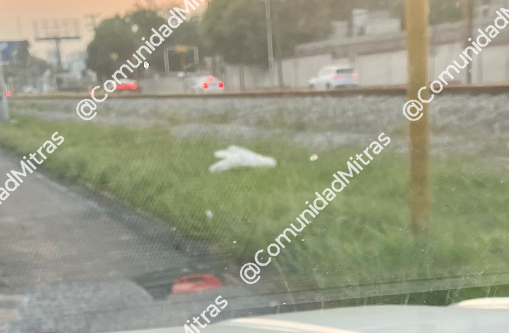 ComunidadMitras's tweet image. ⚠️#Registro
Sin Tapa
📍Av Pablo Gonzalez Garza y Dr Jose Luna Ayala
Col San Jerónimo 
64640 #Monterrey 
@TELMEXSoluciona
#Regina 543869
#ComunidadMitras