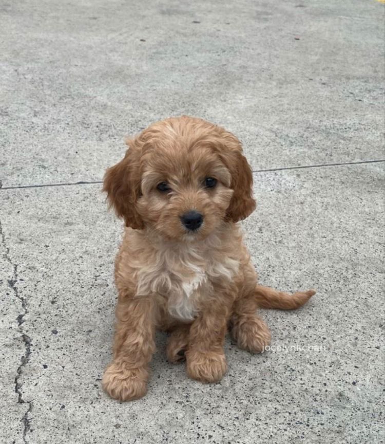 spot the difference https://t.co/6rjdiG9qS8