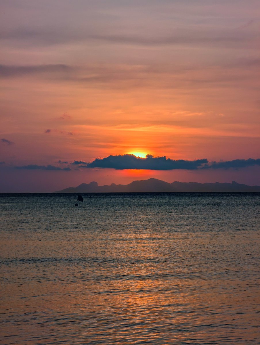 LiiamGreen's tweet photo. 🌴🏝️🌅 https://t.co/DpUROAxvgo