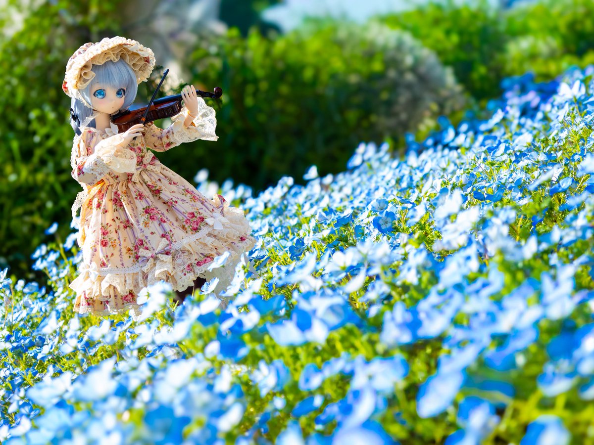 エルフィーネ🐈⸒⸒⸒ @アイドール大阪ありがとうございました✨ tweet media
