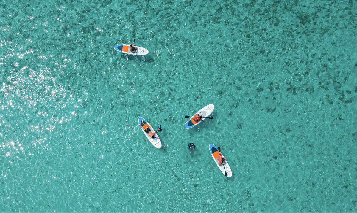 آلب ارسلان tweet media