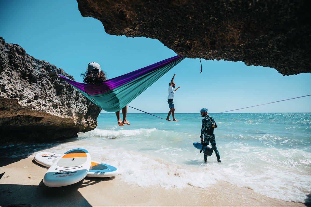 آلب ارسلان tweet media