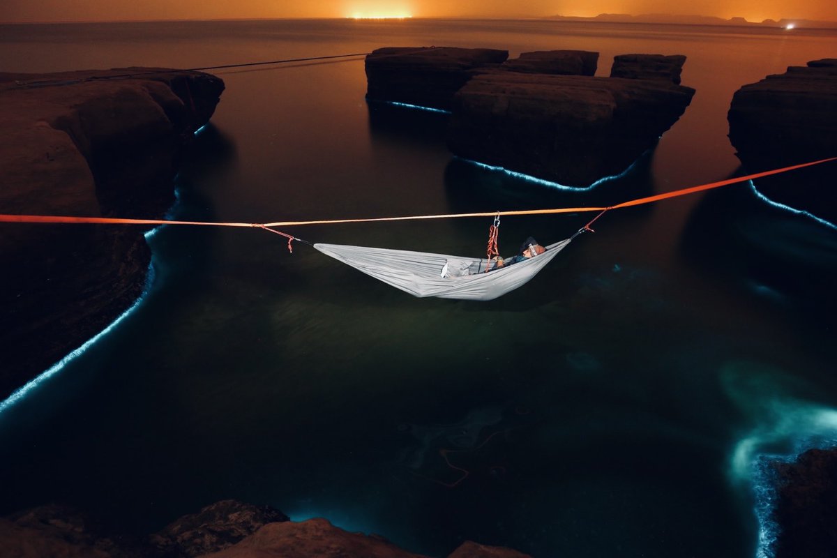 آلب ارسلان tweet media