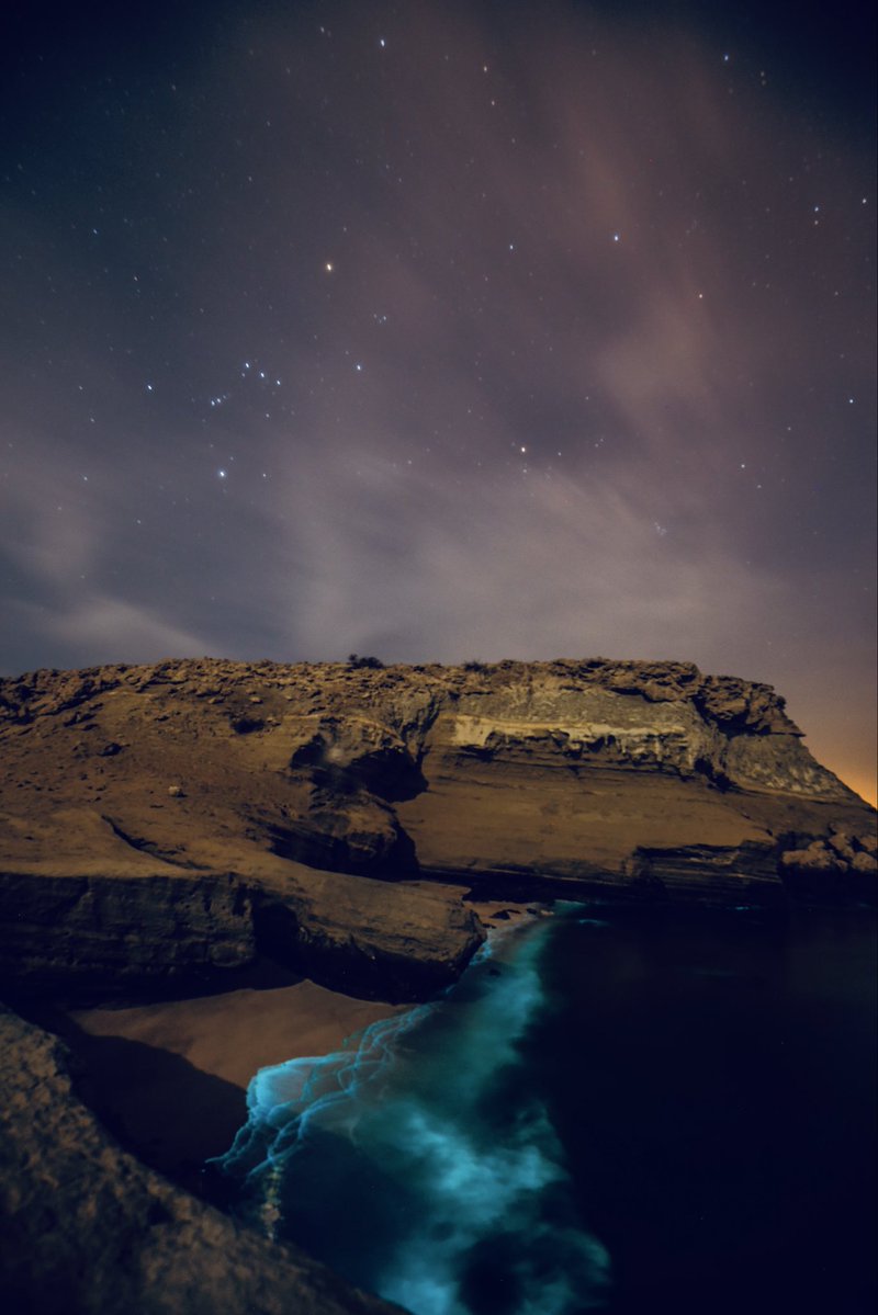 آلب ارسلان tweet media