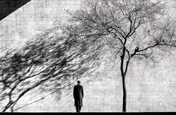 ✿ نزار ✿ اكتب لأتنفس tweet media