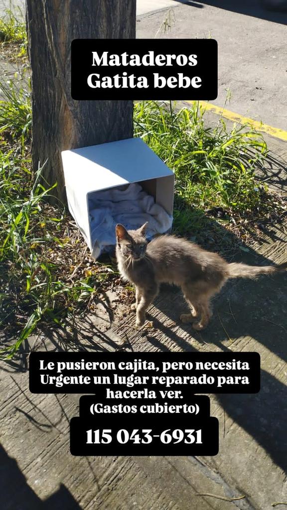 Rt
Urgente