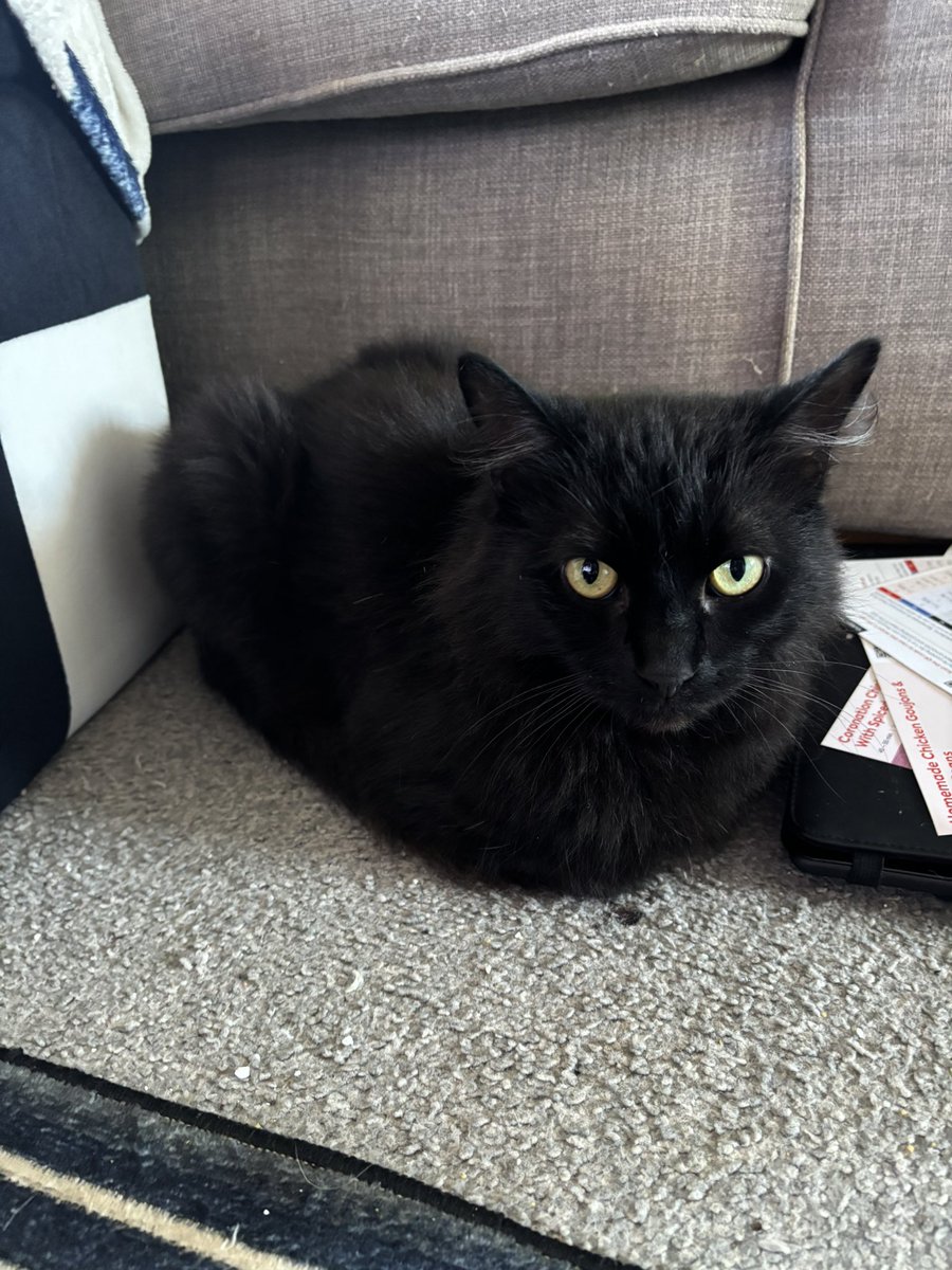 aimeeshikari's tweet photo. a burnt loaf https://t.co/hpdFANOW7Y