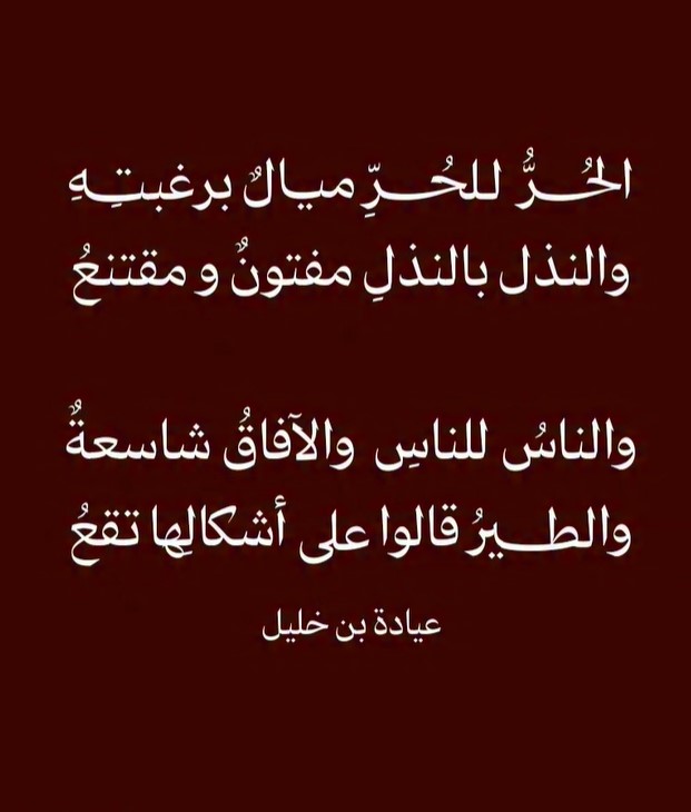 عبد القادر الدحمني tweet media