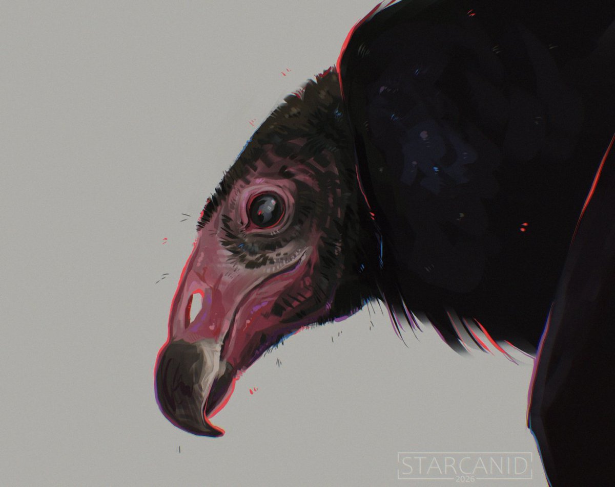 Scavenger by StarCanid