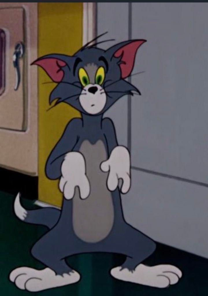 تطبيق نينجا🥷🏻 tweet media