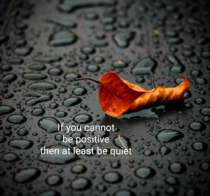 Spiritual Wise Seeker tweet media