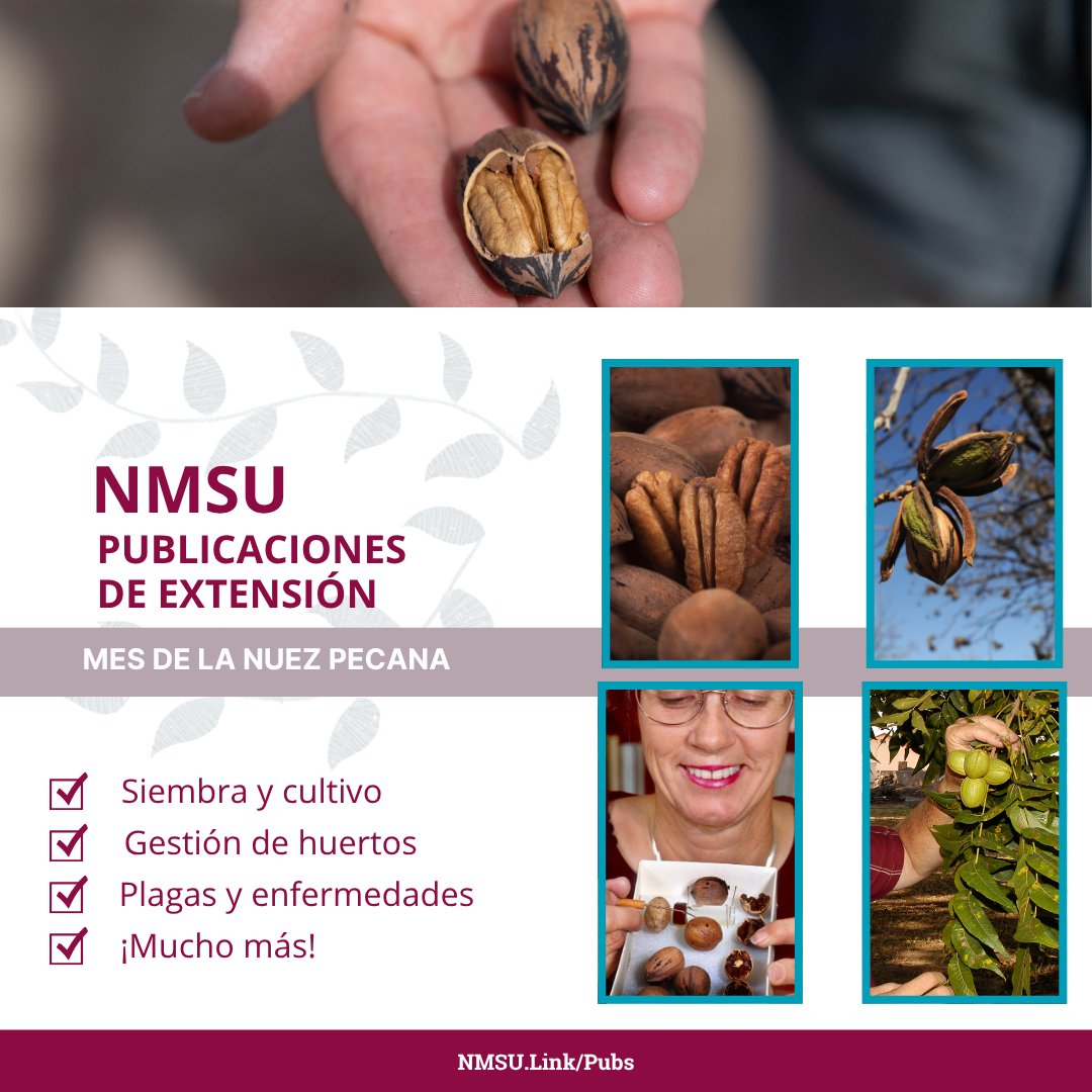 NMSU Extension Pubs tweet media