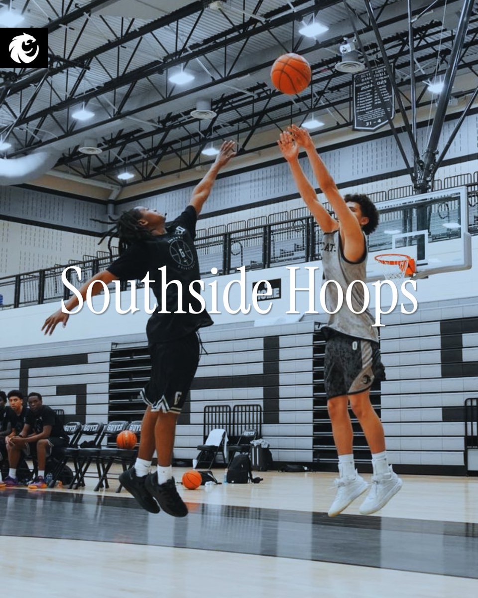Wildcat Basketball tweet media