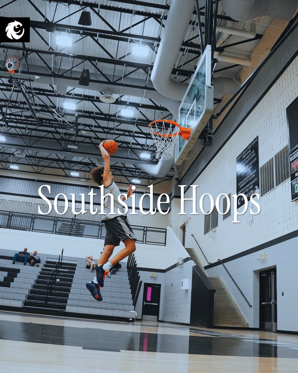 Wildcat Basketball tweet media
