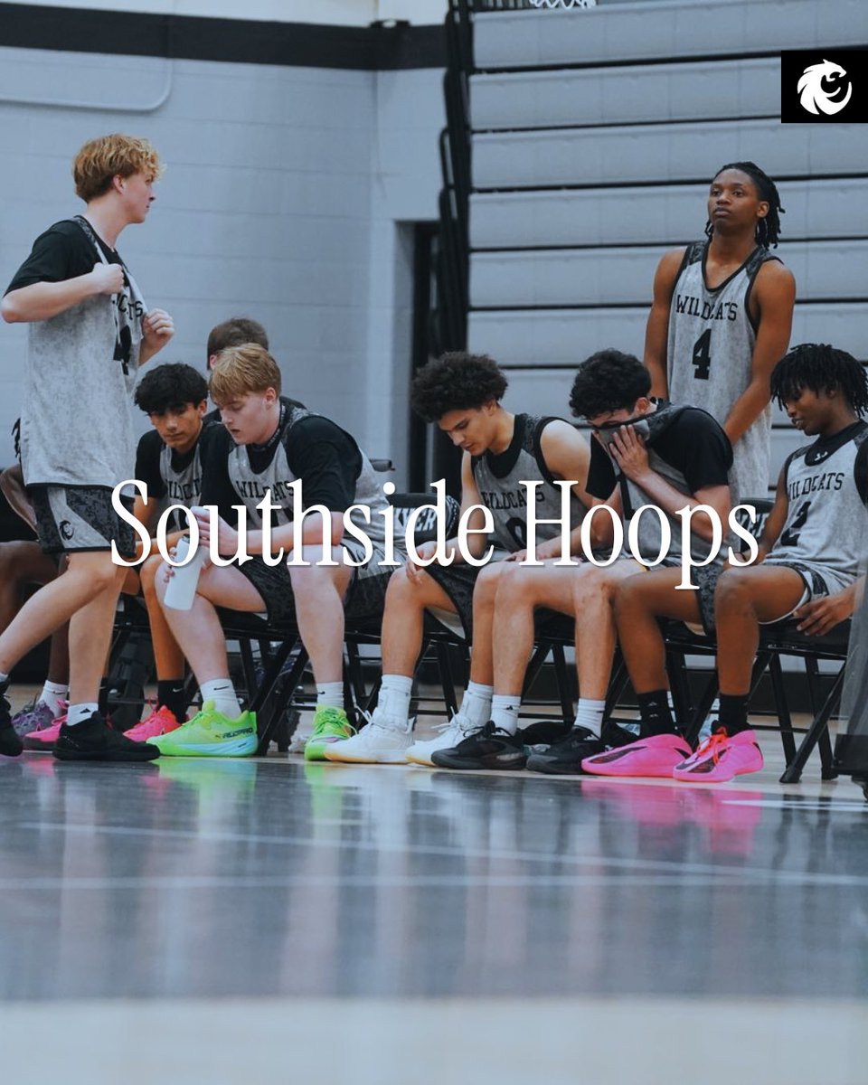Wildcat Basketball tweet media