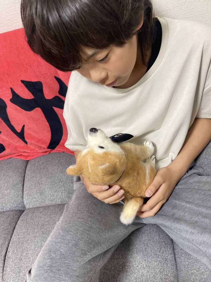 おはようございます☁ チビチャコちゃん帰ってきました
