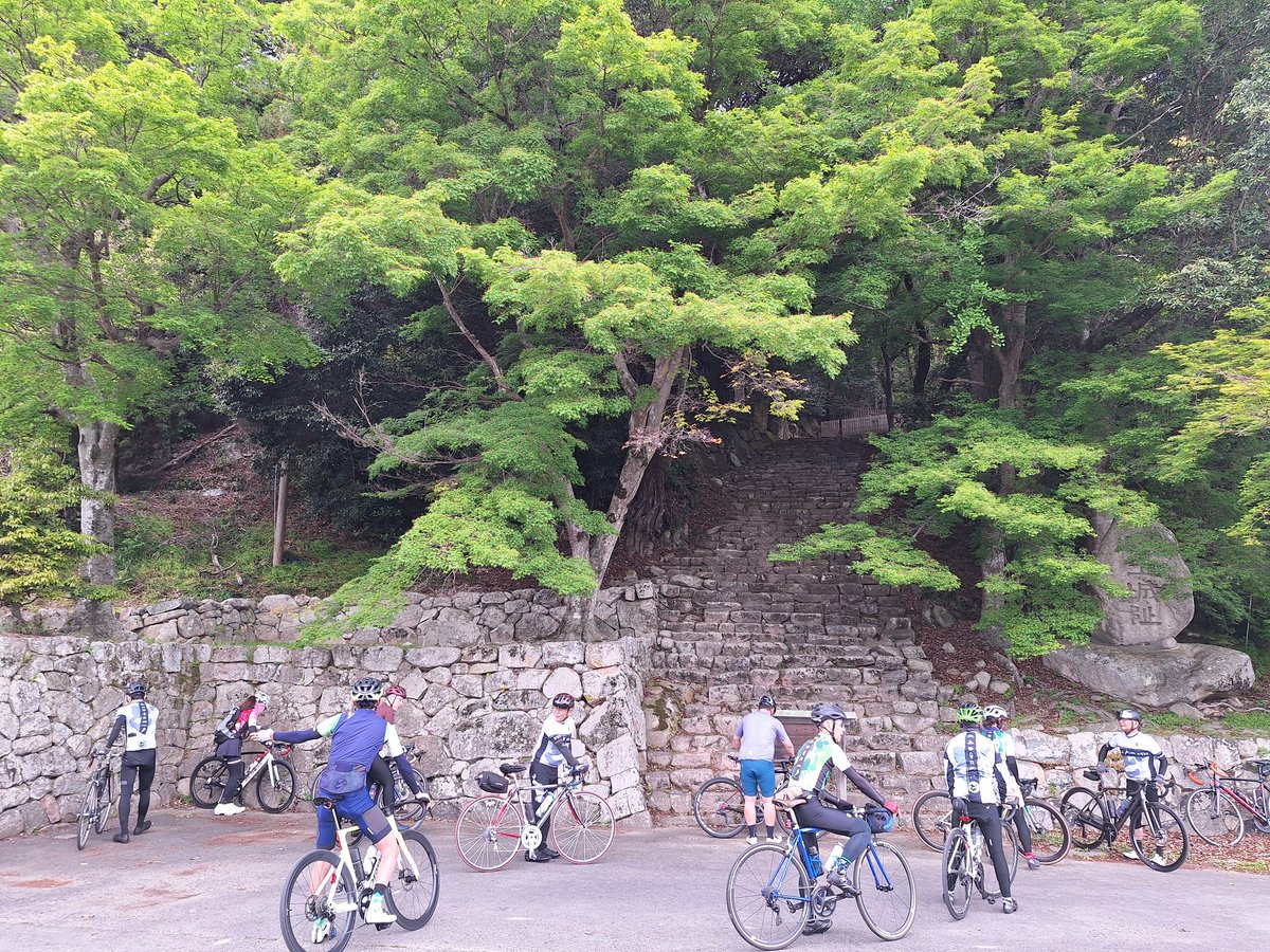 自転車処どてるし tweet media