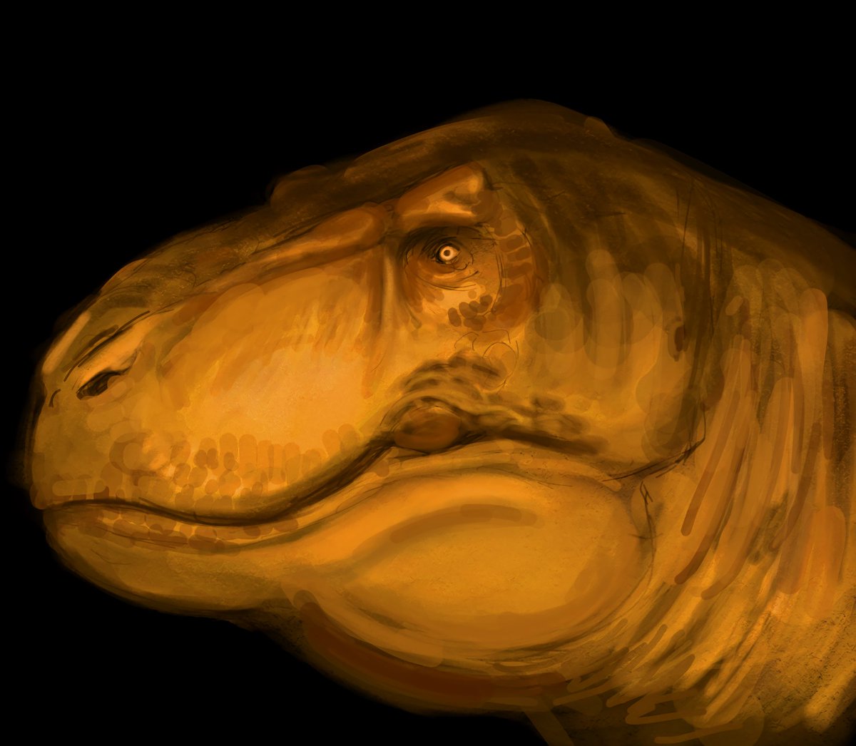 another study
