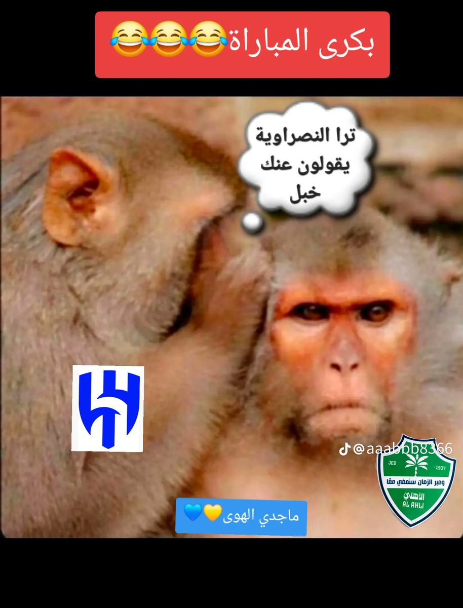 حمد متمبك tweet media