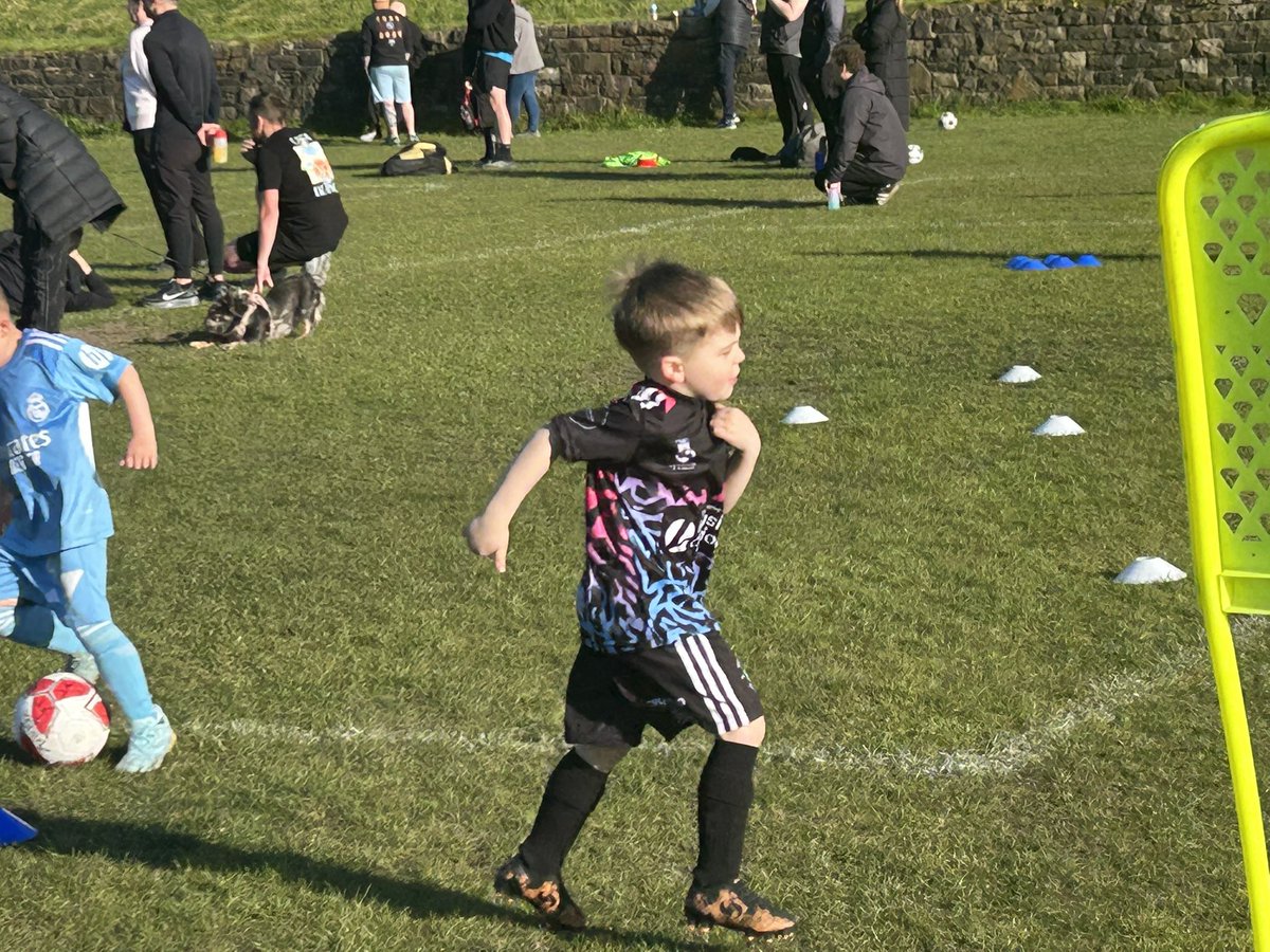 MossBankJFC tweet media