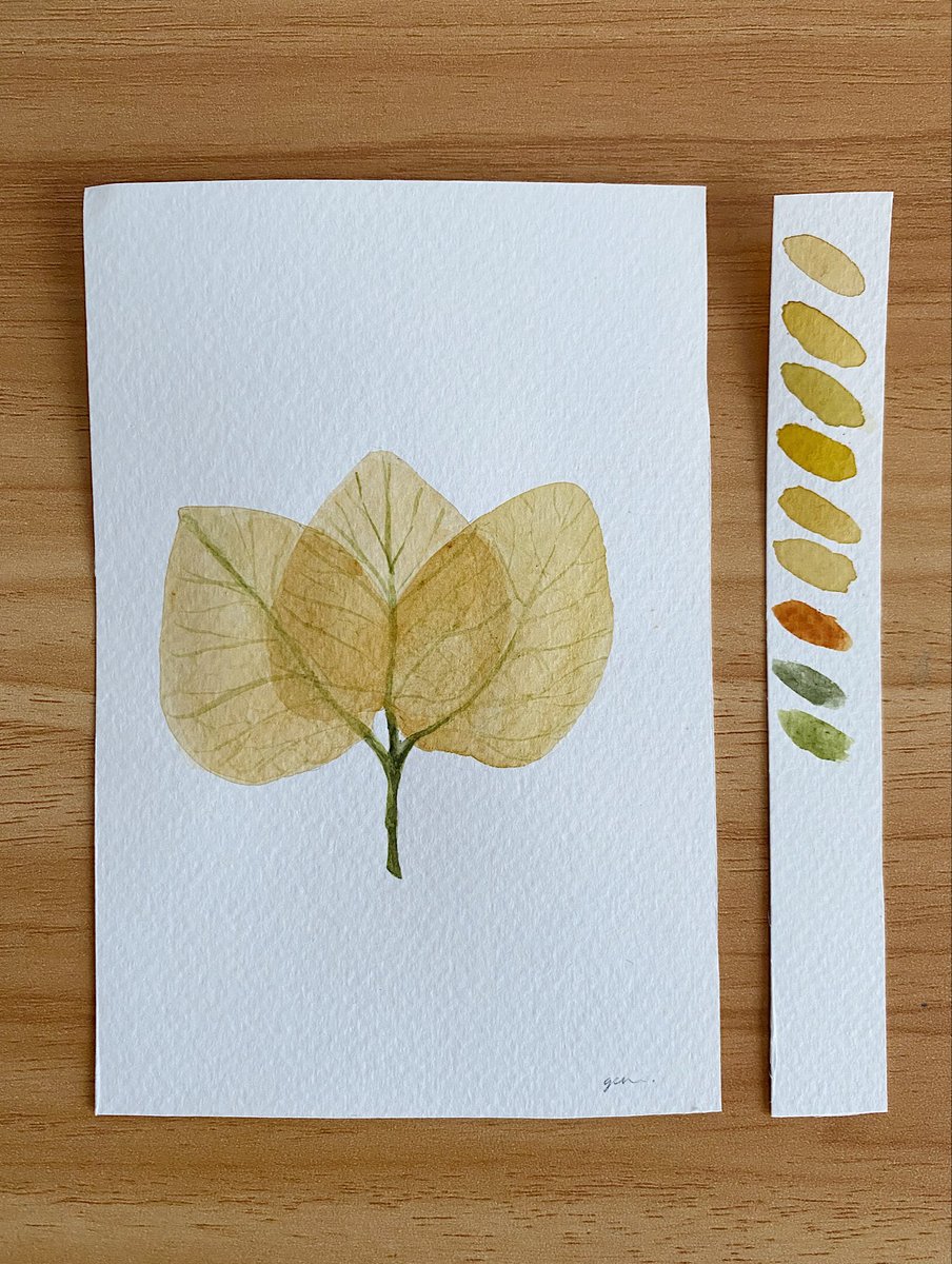 hernandez_gen's tweet photo. Bugambilia
3/8
#watercolor #bugambilia #art https://t.co/vxRAmCJKhT