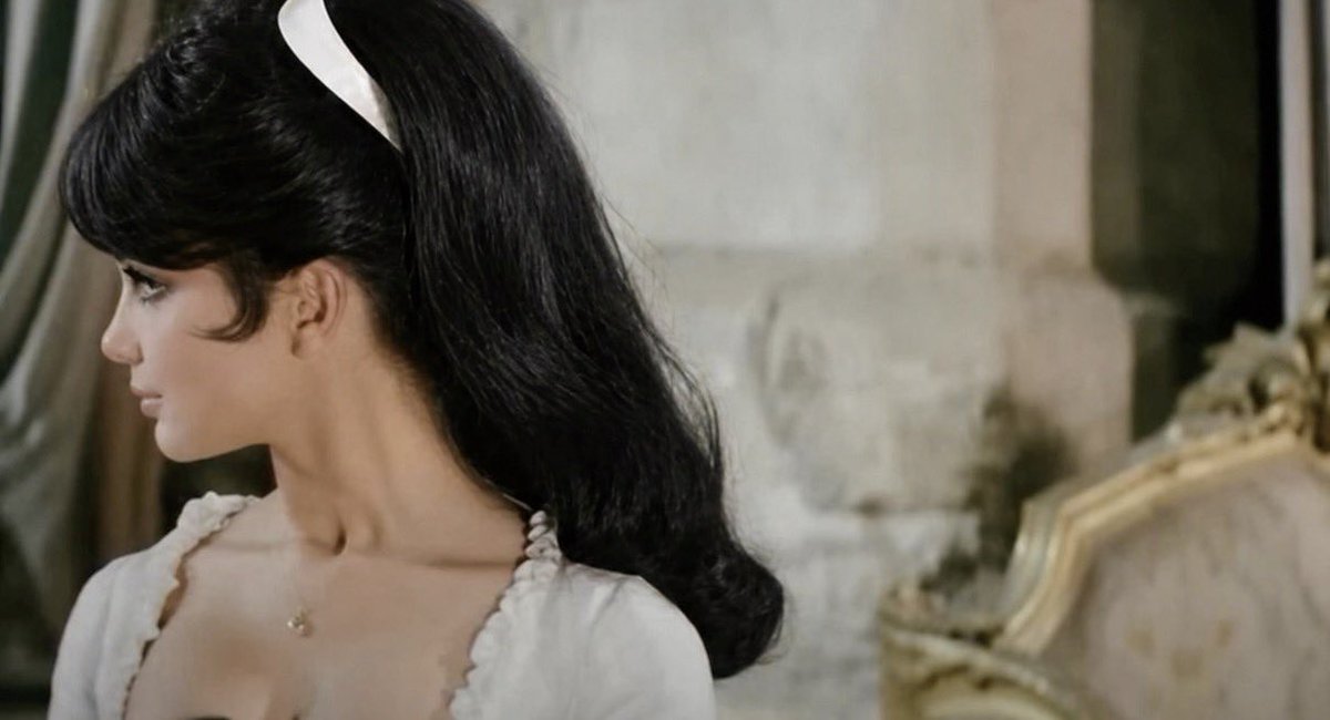 🐈‍⬛ tweet media