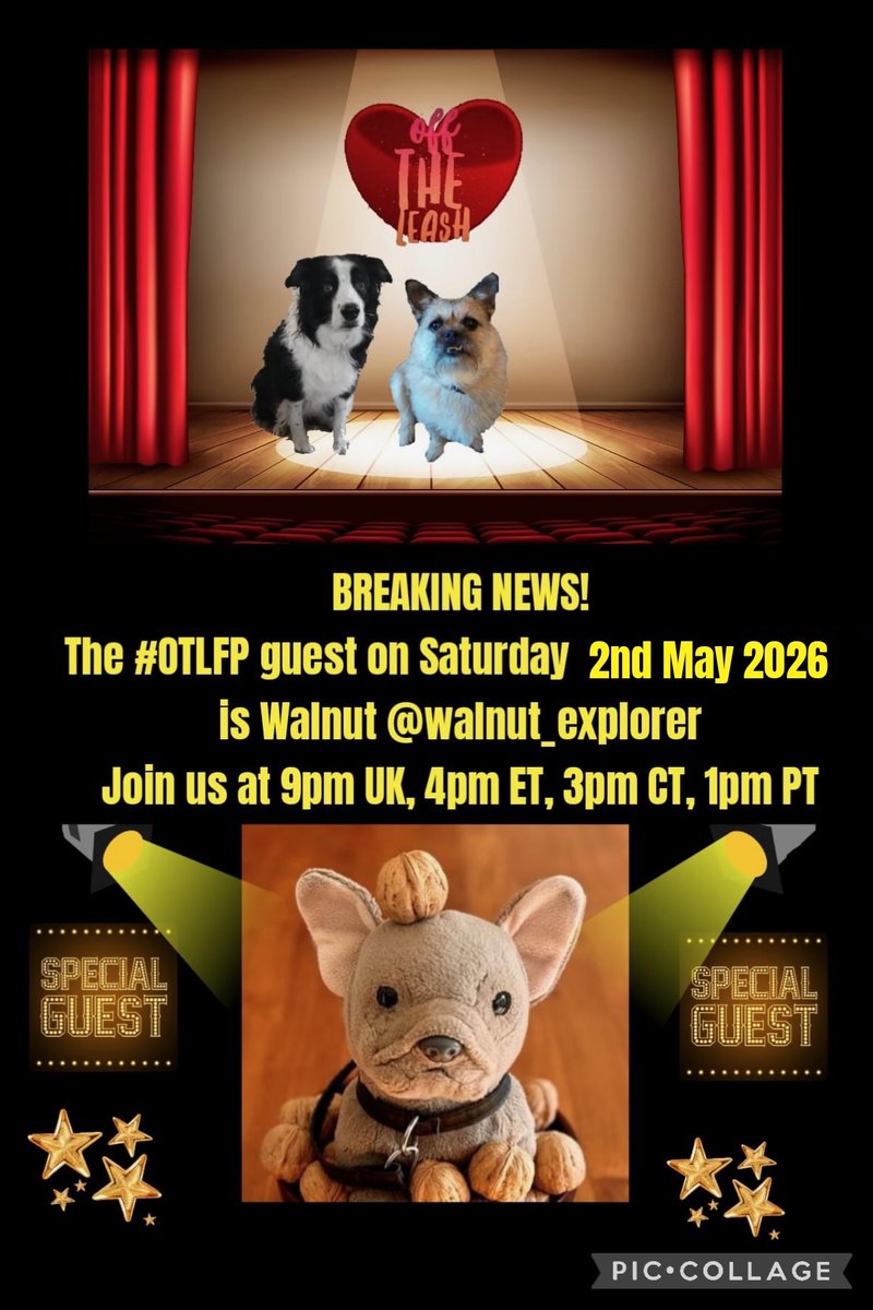 OffTheLeashFP's tweet image. 📌 Join us today (Saturday) for OTLFP, a Twitter chat about #pets, by pets!

Guest: Walnut @walnut_explorer

Hosts: @Pixie_Tooth &amp;amp; @MillieOTLFP

Starts 9pm UK, 4pm ET, 3pm CT, 2pm MT, 1pm PT

All are welcome. Just search &amp;amp; follow #OTLFP!
