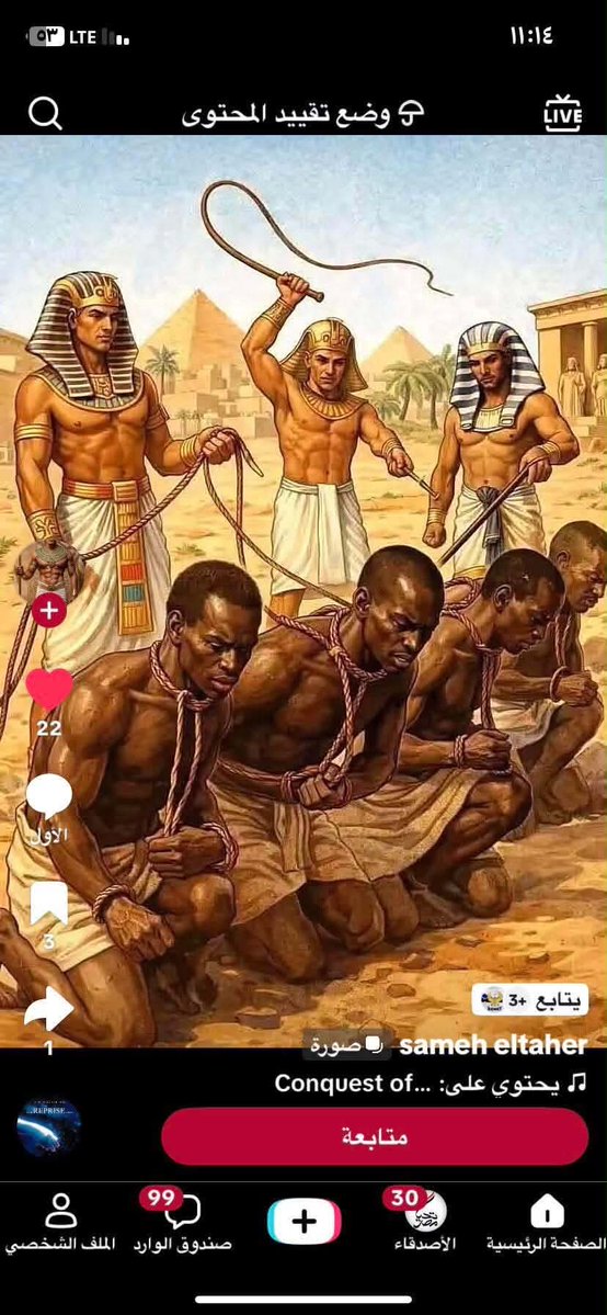 Emy Kamel tweet media