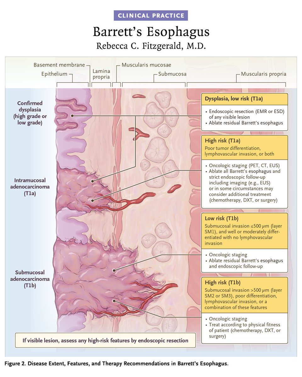 NEJM tweet media