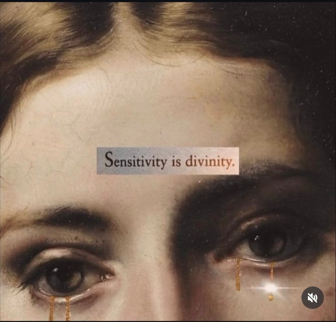 🐈‍⬛ tweet media