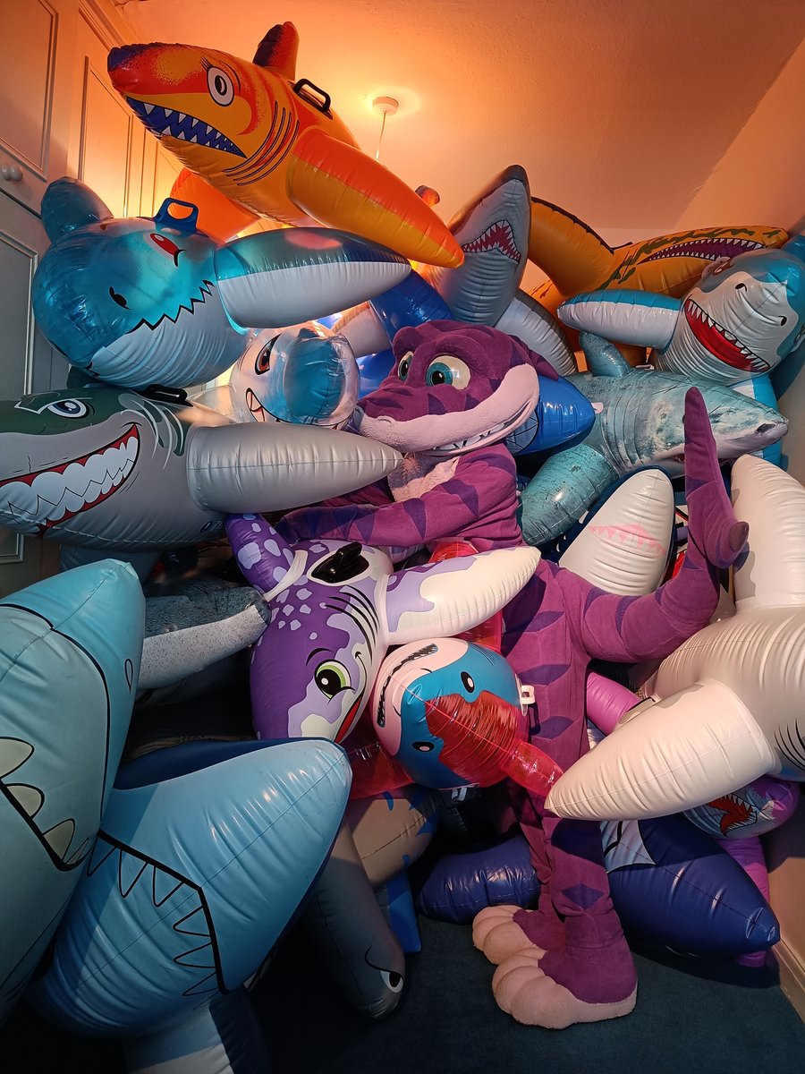 SM the Shark tweet media