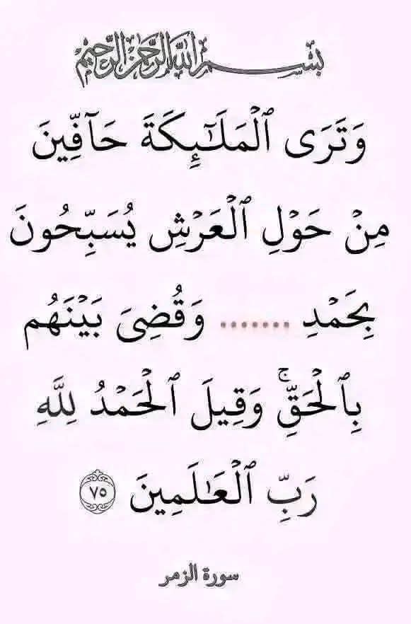 Nahed Hussien 👩‍👩‍👦‍👦 tweet media