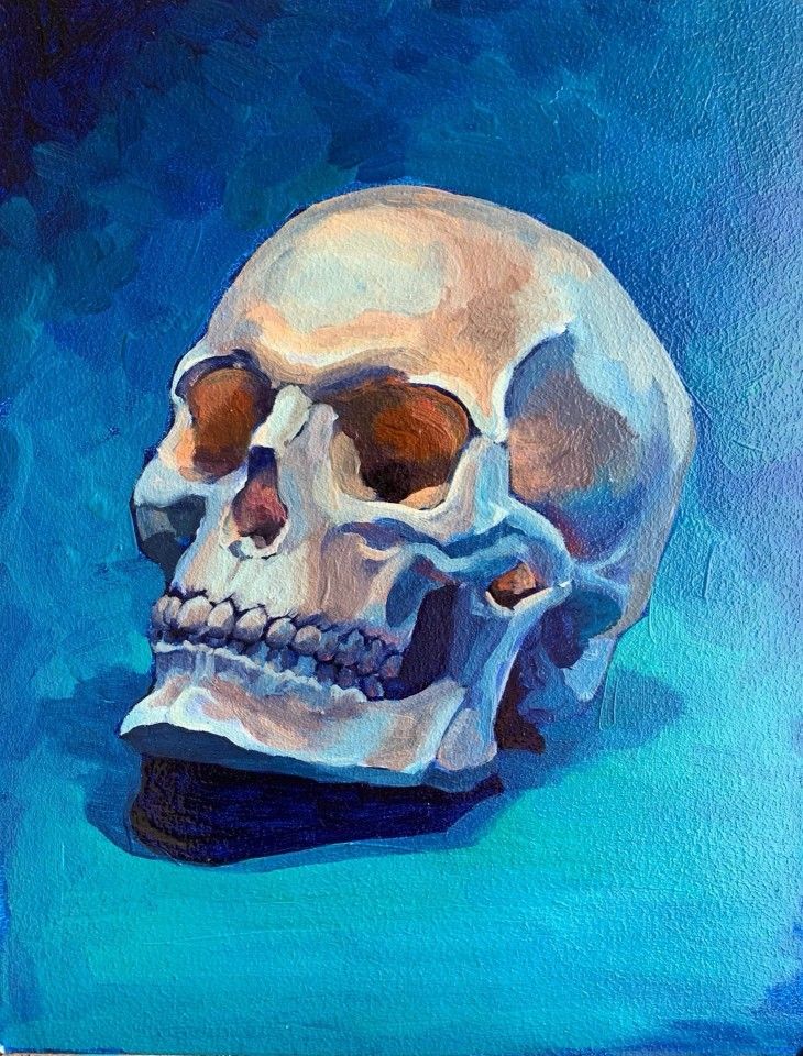 BunnieKat1962's tweet image. #Skull